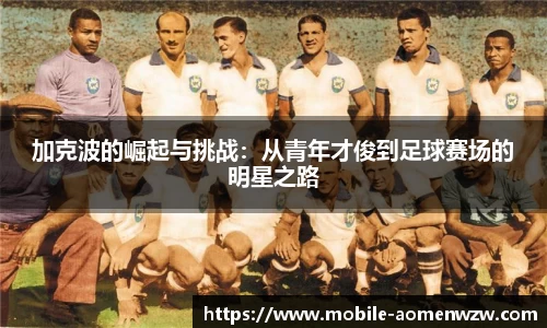 关键词4